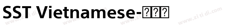 SST Vietnamese字体转换